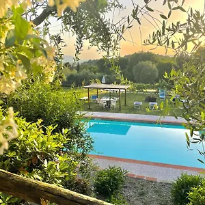 Couette-café Alloro, Capannori